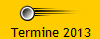 Termine 2013